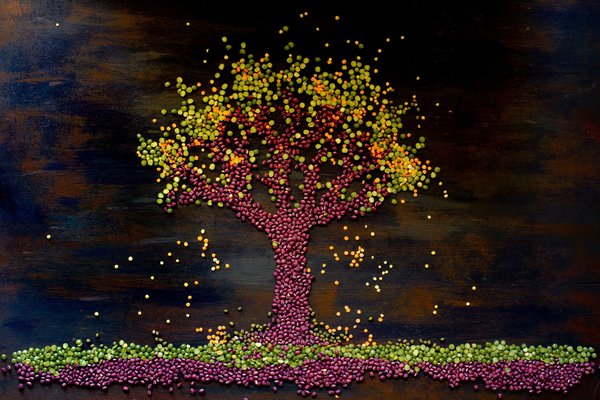 The benefits of plant-based cooking